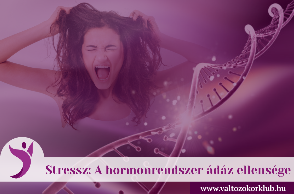 stressz-a-hormonrendszer-ádáz-ellensége