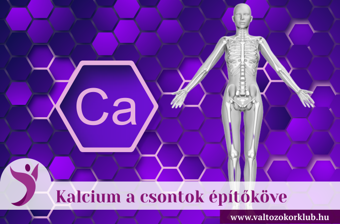kalcium a csontok építőköve
